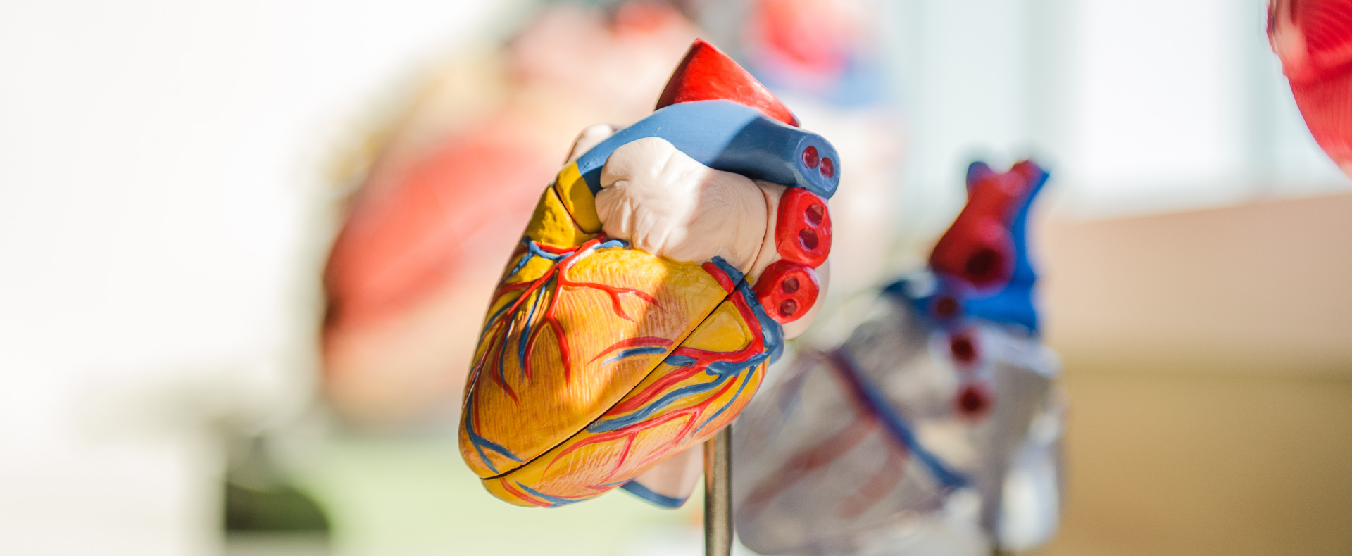 RPH Research Foundation